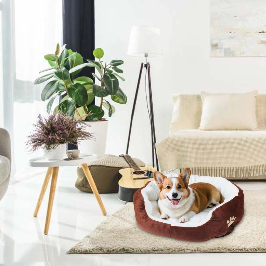 Dog Beds for Small Dogs Puppy Bed Pet Cats Bed with Removable Cushion for Indoor Cats Dogs, Brown
