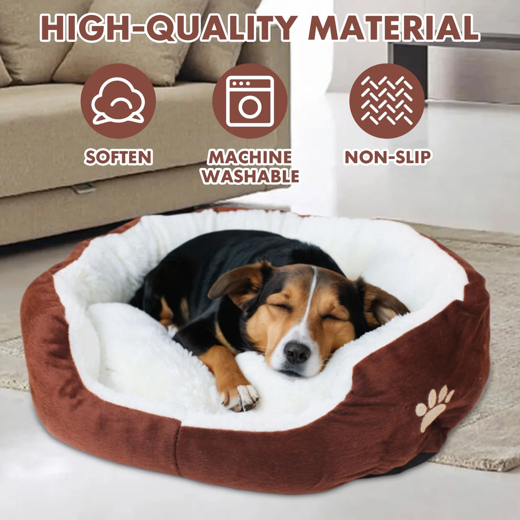 Dog Beds for Small Dogs Puppy Bed Pet Cats Bed with Removable Cushion for Indoor Cats Dogs, Brown